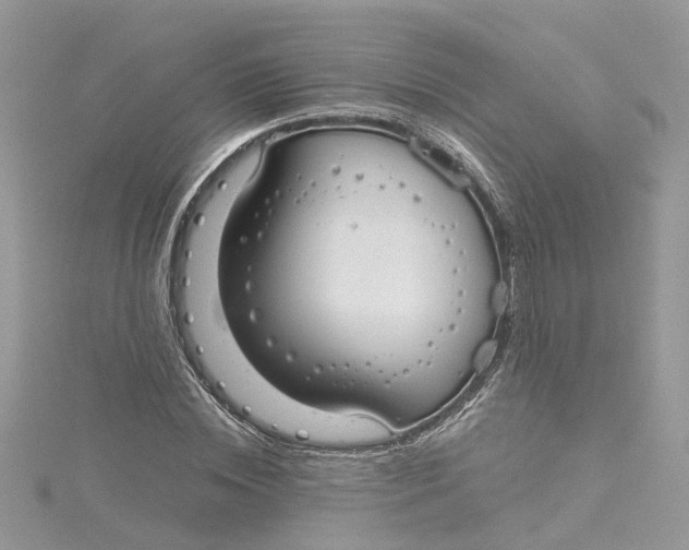 X0000115200828200911181506