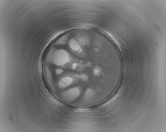 X0000115200835200911181506