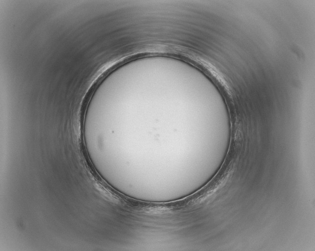 X0000115200837200911181506
