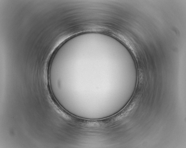 X0000115200843200911181507