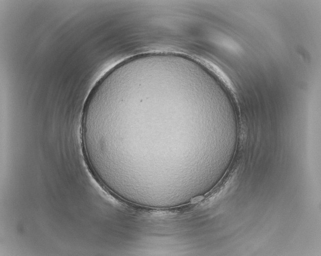 X0000115200847200911181507