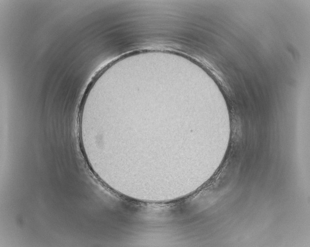 X0000115200848200911181507