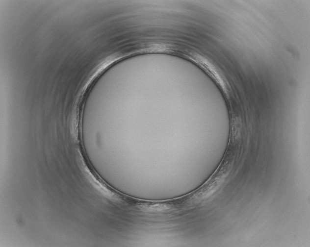 X0000115200851200911181507