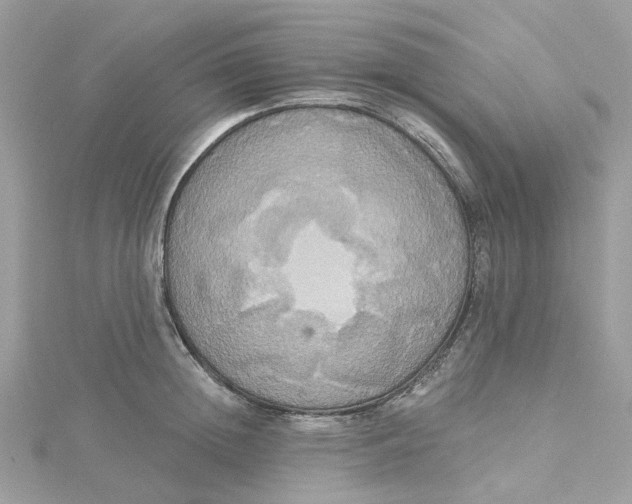 X0000115200852200911181507