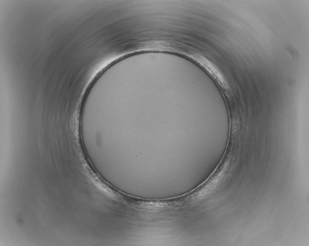 X0000115200854200911181507