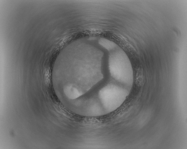 X0000115200866200911181506