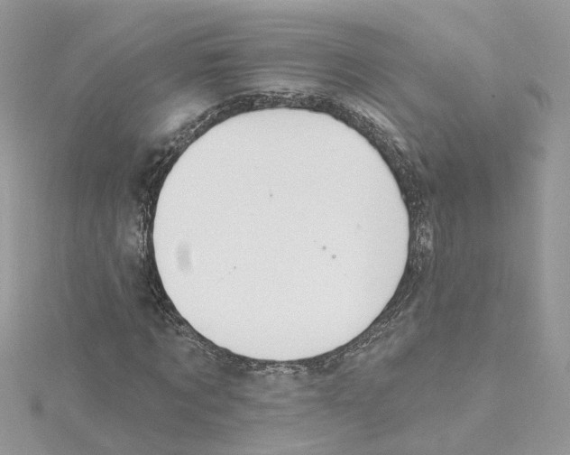 X0000115200869200911181506