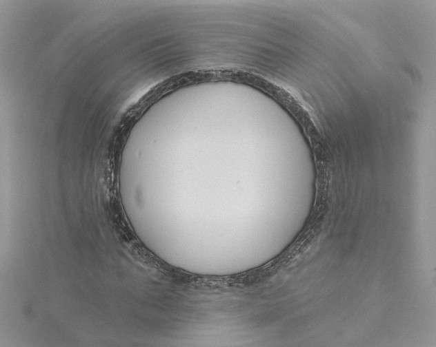 X0000115200871200911181506