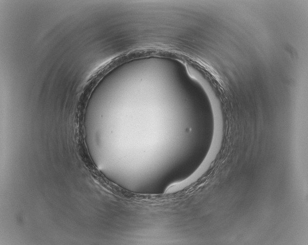 X0000115200872200911181506
