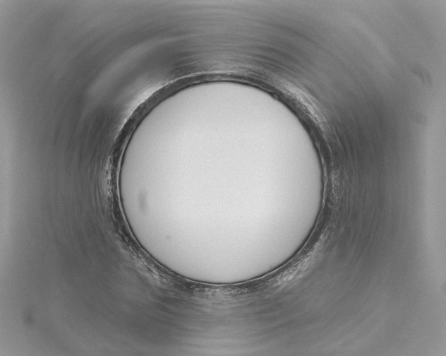X0000115200875200911181506