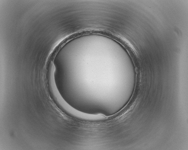 X0000115200878200911181506