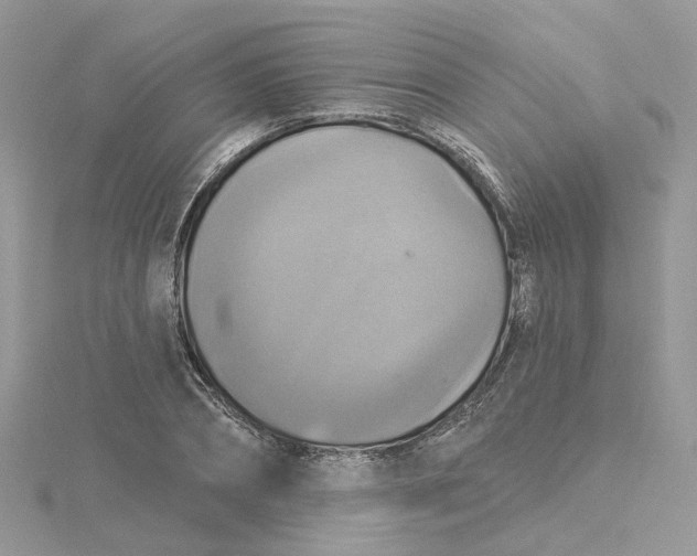 X0000115200882200911181506