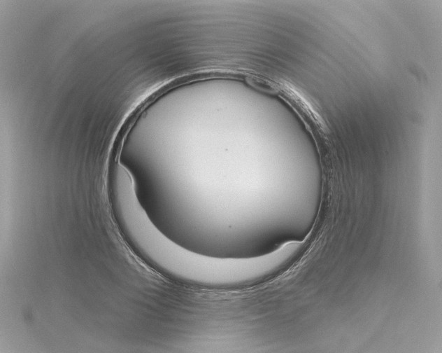 X0000115200884200911181506