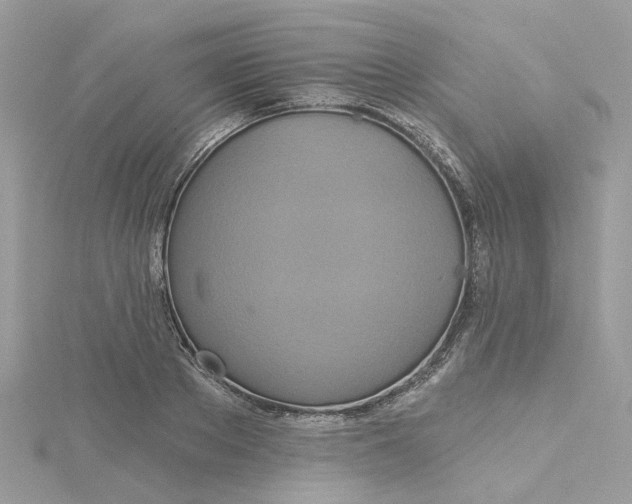 X0000115200889200911181506