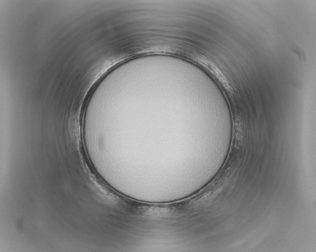 X0000115200890200911181506