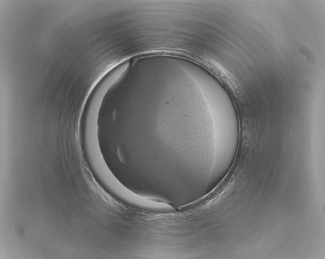 X0000115200892200911181506