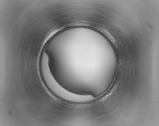 X0000115200893200911181506