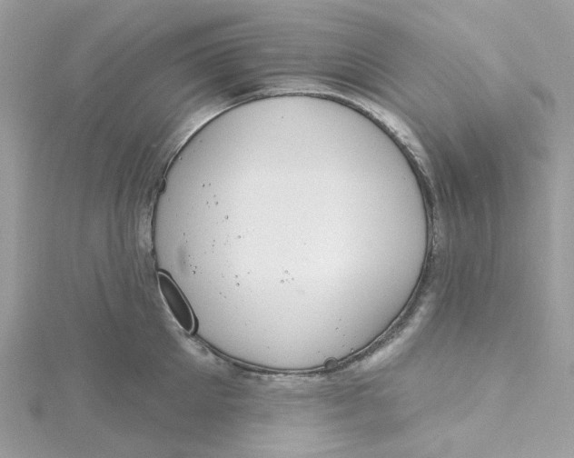 X0000115200905200911181506