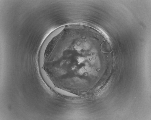 X0000115200907200911181506
