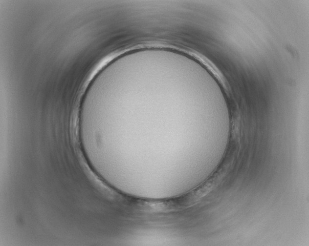 X0000115200911200911181506