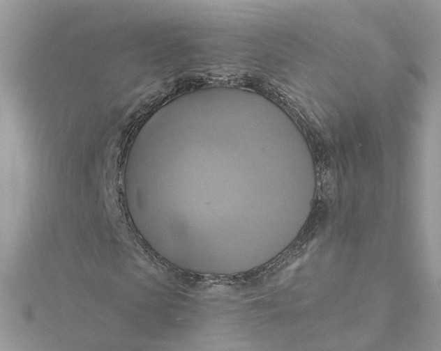 X0000115200913200911181505