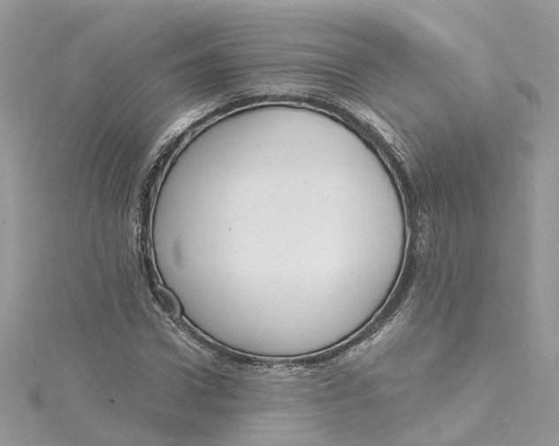 X0000115200922200911181505