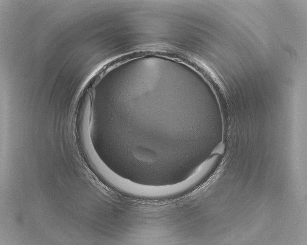 X0000115200923200911181505