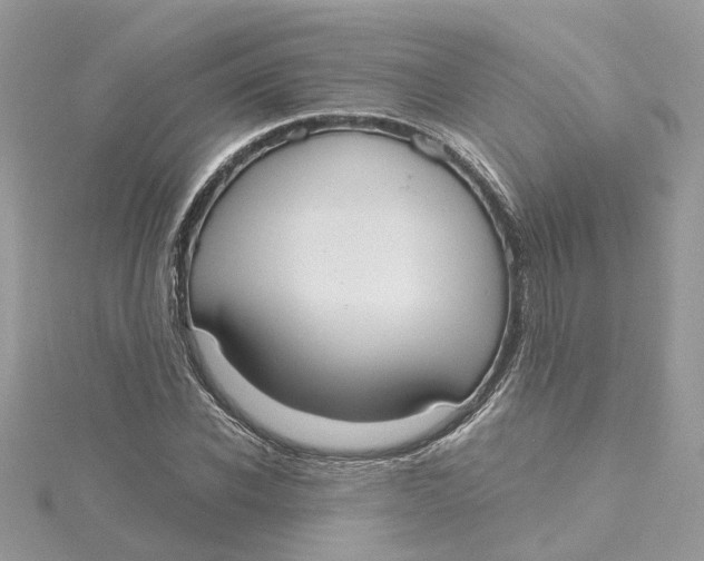 X0000115200926200911181505