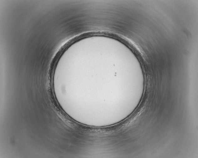 X0000115200927200911181505