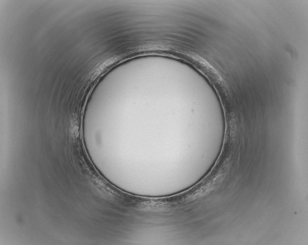 X0000115200929200911181505