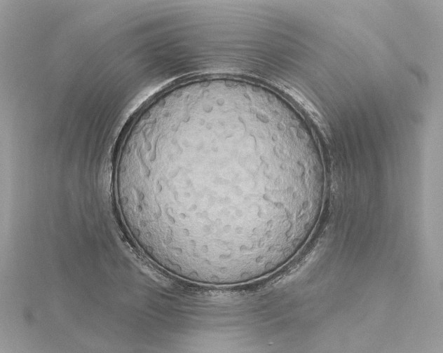 X0000115200933200911181505