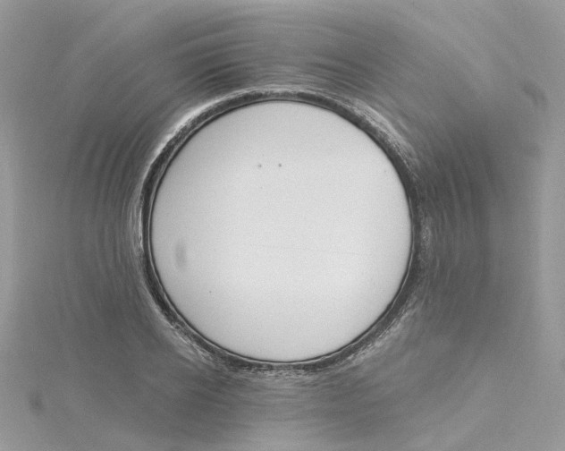 X0000115200934200911181505