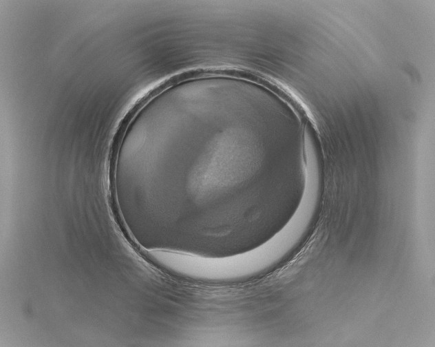 X0000115200935200911181505