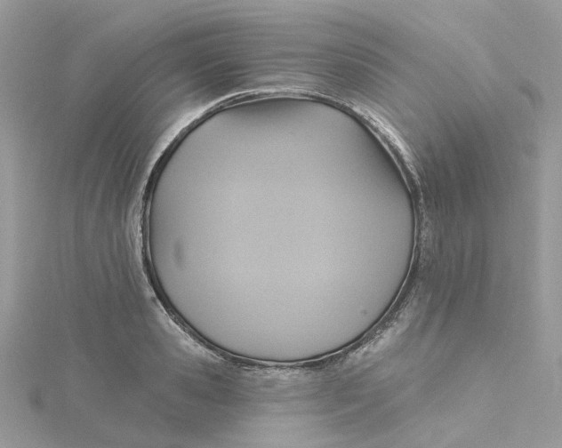 X0000115200941200911181505