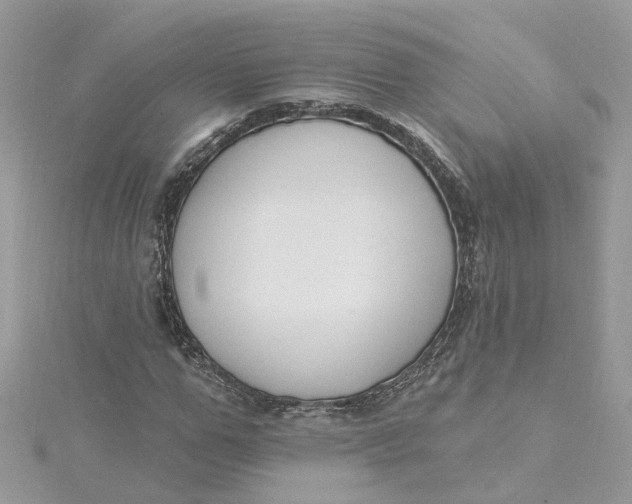 X0000115200967200911181505