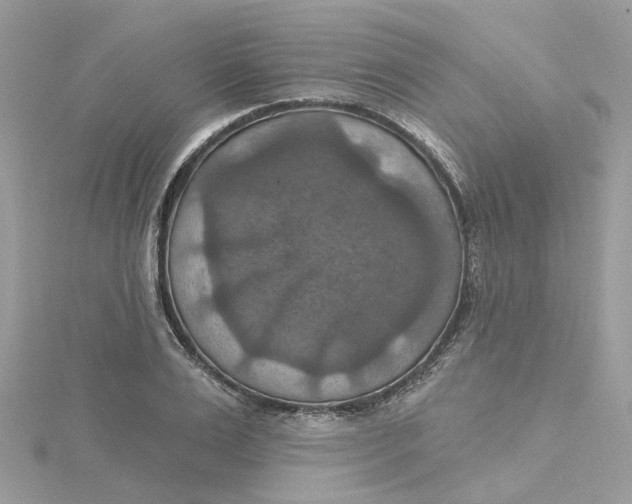 X0000115200983200911181505