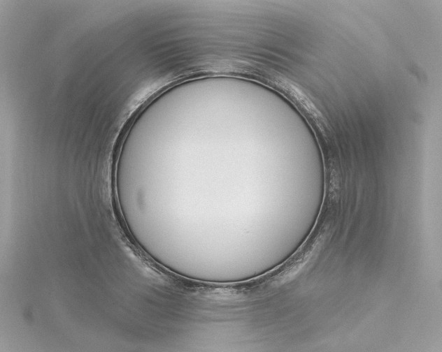 X0000115200986200911181505
