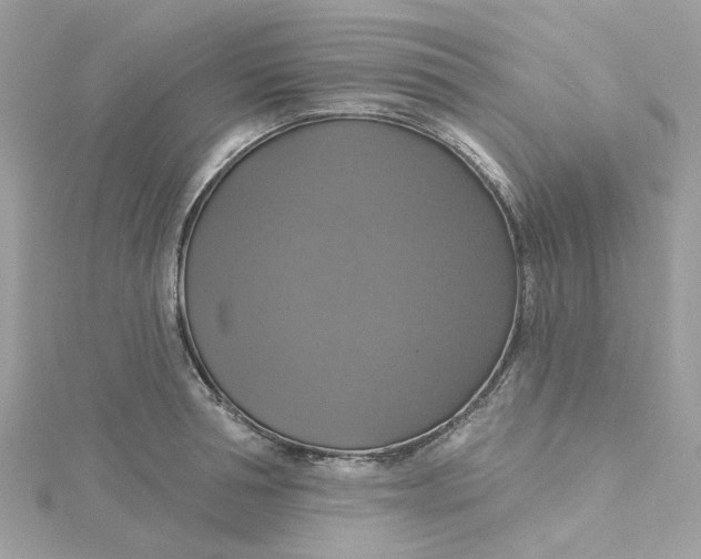 X0000115200994200911181505