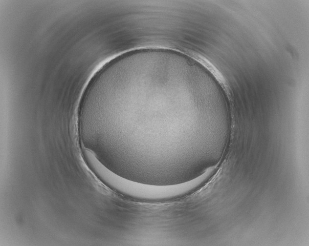 X0000115200996200911181504
