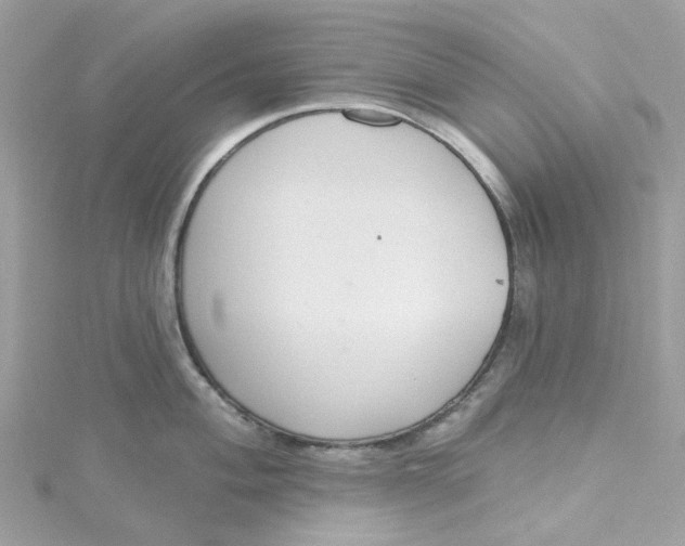 X0000115201004200911181504