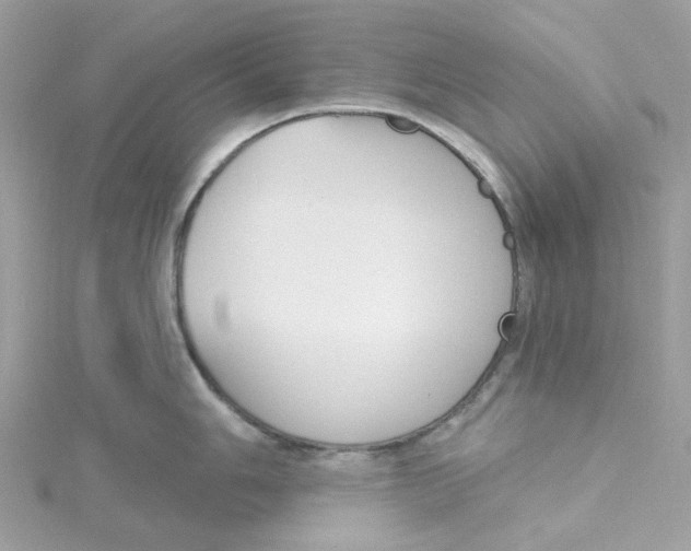 X0000115201006200911181504