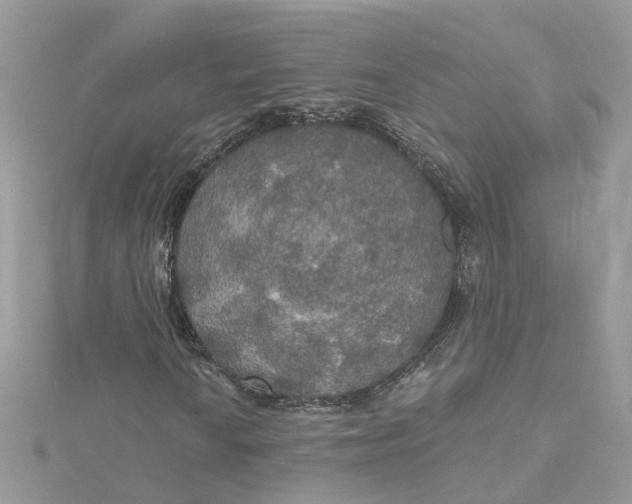 X0000115201010200911181504