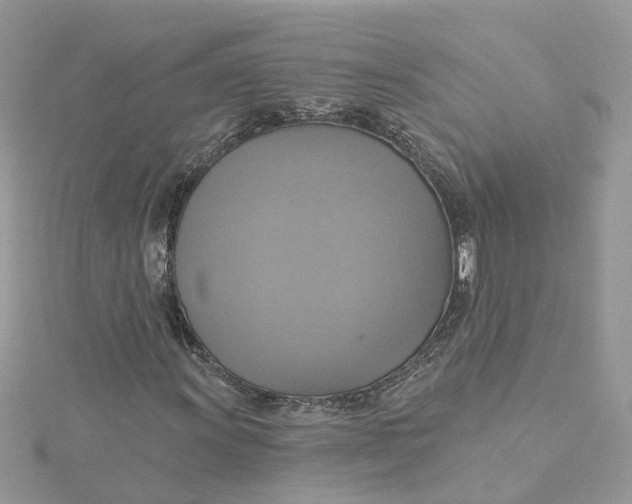 X0000115201011200911181504