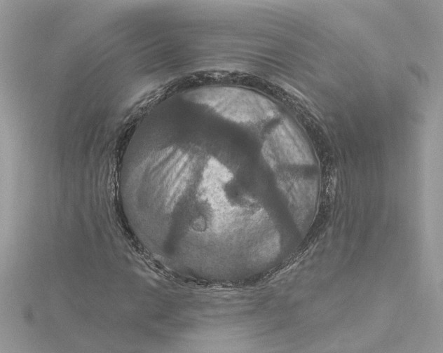 X0000115201014200911181504