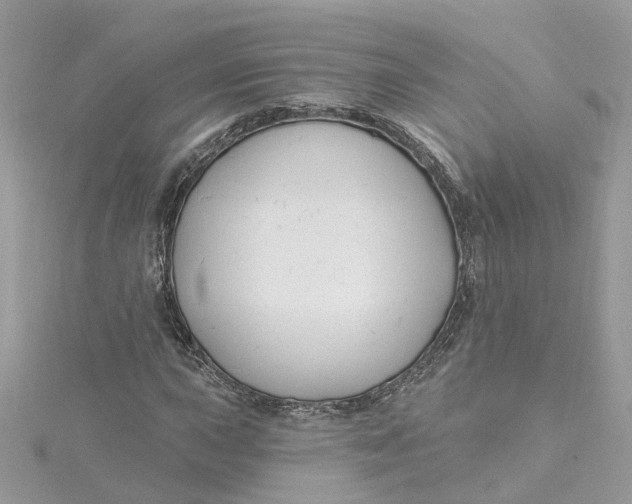 X0000115201015200911181504