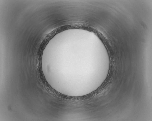 X0000115201016200911181504