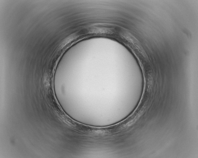 X0000115201017200911181504
