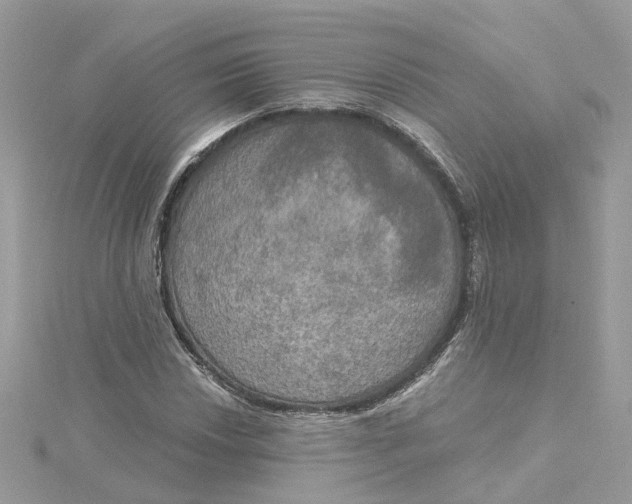 X0000115201018200911181504