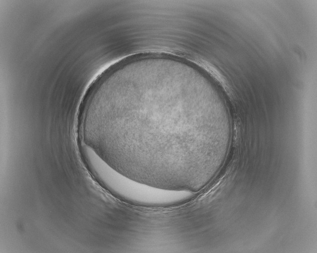 X0000115201020200911181504