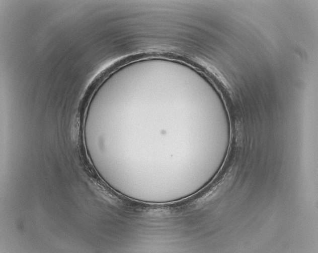 X0000115201021200911181504
